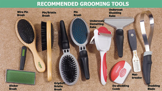 Grooming Aids