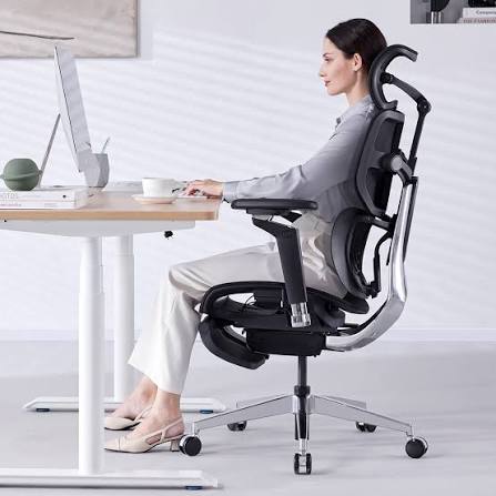 Ergonomoic Seats