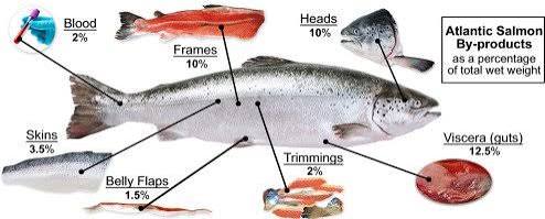 Aquatic Products