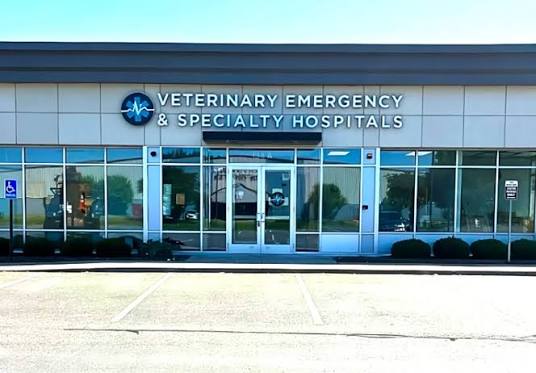 Emergency & Specialty Care