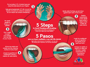 Mouth - Teeth Care