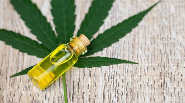 CBD Oils